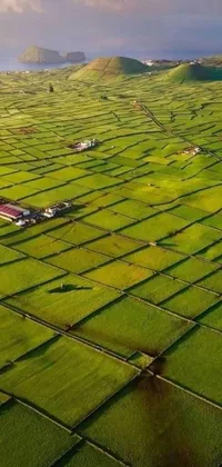 This mesmerizing phone live wallpaper depicts an aerial view of a lush green field in India