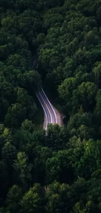 This live wallpaper features an aerial shot of a forest road in the William Penn State Forest captured by a skilled photographer