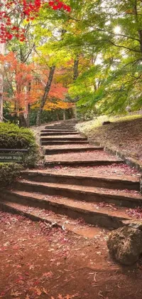 Looking for a delightful live wallpaper? Check out this serene forest-themed artwork, featuring a gorgeous set of stairs nestled amidst the stunning autumn foliage