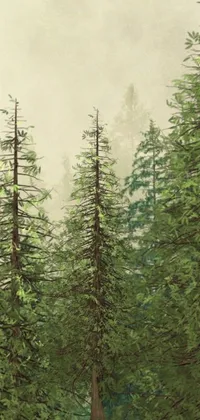 Immerse yourself in the beauty of nature with this stunning live wallpaper for your phone