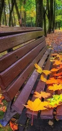 This live wallpaper features a beautiful park bench covered in fallen leaves, creating a serene and peaceful ambiance
