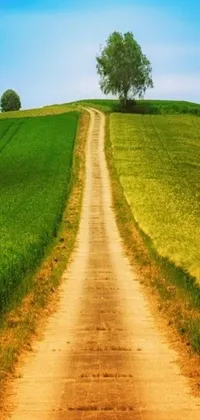 This nature-inspired phone live wallpaper features a winding dirt road cutting through a verdant green field in a charming naive art style