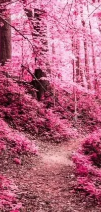This stunning live wallpaper features a mesmerizing pink forest containing countless lush trees and mythical floral hills