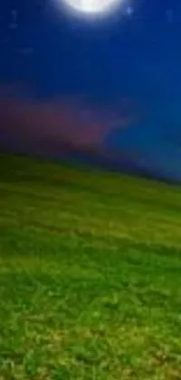 Add a touch of serenity to your phone screen with this live wallpaper, featuring a peaceful grassy field illuminated by the soft glow of a full moon