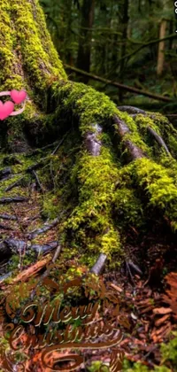 Add a playful touch to your phone with this charming live wallpaper featuring a heart-shaped object on a moss-covered tree in the forest