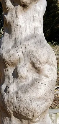 This phone live wallpaper features a beautifully crafted bear, sitting atop a wooden stump