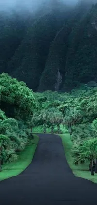 Enjoy the tranquility of a peaceful drive through nature with this stunning live wallpaper
