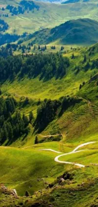 Get lost in the mesmerizing view of this phone live wallpaper featuring a winding dirt road curving through a lush green valley embraced by the Swiss Alps