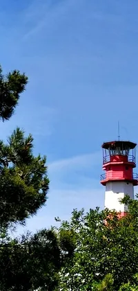This live wallpaper showcases a serene scene of a red and white lighthouse enveloped by green trees with a colorful sunset sky in the background