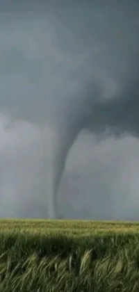 This incredible phone live wallpaper depicts a thrilling and captivating scene of a tornado in an open field
