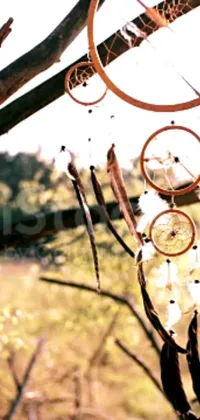 This phone live wallpaper showcases a group of dream catchers hanging from a tree