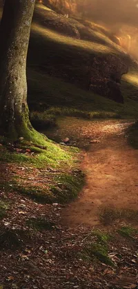 This phone live wallpaper features a breathtaking image of a path through the woods