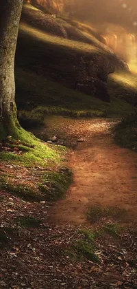 Upgrade your phone wallpaper game with this breathtaking live wallpaper that features a mesmerizing path through lush woods! A fusion of fantasy art and natural beauty, this phone live wallpaper showcases a serene warm scene exhibiting Scotland's natural beauty