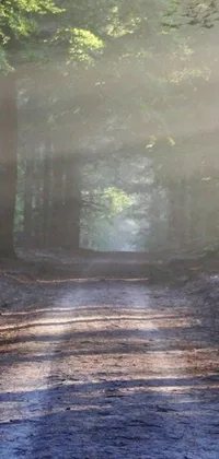 This live wallpaper captures an alluring depiction of a dirt road within a forest