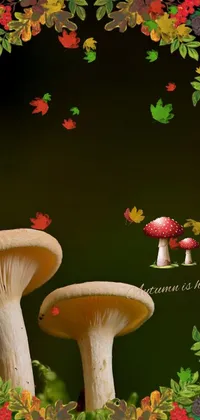 Plant Green Botany Live Wallpaper