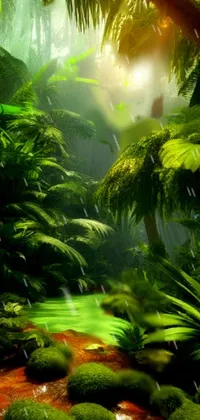 This stunning phone live wallpaper features a stream flowing through a rich green forest