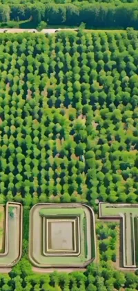 Plant Green Nature Live Wallpaper