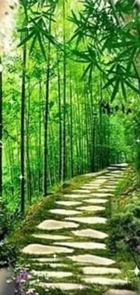 lush green forest wallpaper