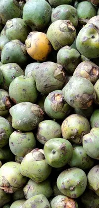 This phone live wallpaper depicts a appetizing pile of green fruits in hurufiyya style and a Mayan-inspired background