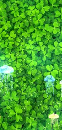nature  Live Wallpaper