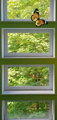Plant Green Window Live Wallpaper