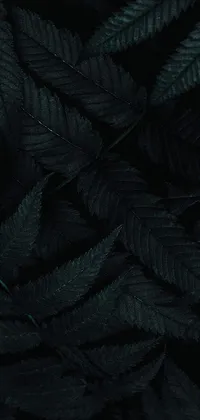 If you're looking for a striking and trendy live wallpaper, this green leaf-themed one might be perfect for you
