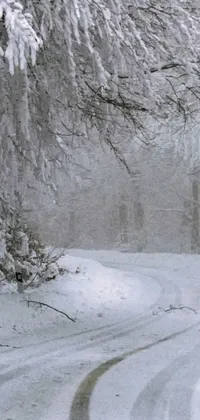 This phone live wallpaper depicts a winter forest scene inspired by artistic romanticism