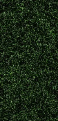 , Live Wallpaper - free download