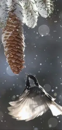 This phone live wallpaper showcases the beauty of nature with a stunning image of a bird gracefully soaring next to a pine cone
