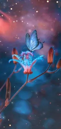 Plant Insect Pollinator Live Wallpaper
