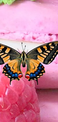 This phone live wallpaper features a beautiful butterfly perched on top of a juicy raspberry, all set against a cheerful and bold pop art-inspired pastel color scheme