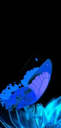 This phone live wallpaper features a stunning blue butterfly perched on a flower amidst a microscopic world