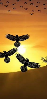 This phone live wallpaper features a stunning flock of birds soaring over a desert landscape