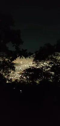 This phone live wallpaper showcases a mesmerizing night view of a bustling city from atop a hill, with twinkling lights adding to the dramatic effect
