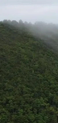 This stunning live wallpaper for mobile phones features a scenic view of a plane flying over a lush green hillside