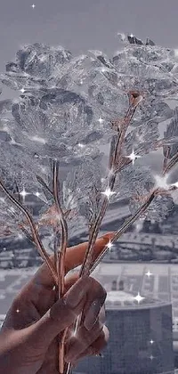 This phone live wallpaper depicts a beautiful bunch of ice flowers held in a person's hands, set against a backdrop of gleaming glass buildings
