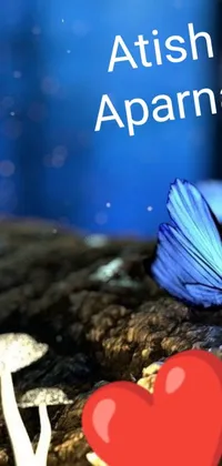 This amazing phone live wallpaper depicts a serene blue butterfly sitting on a rock next to a red heart, set against a glowing background of blue mushrooms in mire