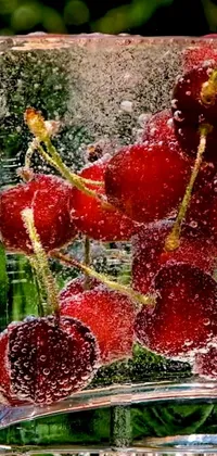 This phone live wallpaper is a beautiful still-life scene with a bright red cherry frozen inside a piece of ice