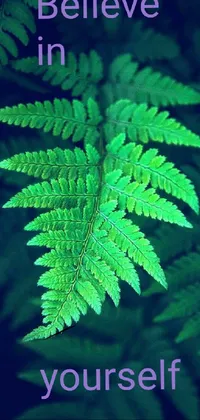Plant Leaf Botany Live Wallpaper