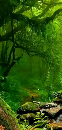 Looking for a stunning live wallpaper for your phone? Check out this stream running through a lush green forest! With its vibrant jungle vines and misty atmosphere, this 480p wallpaper has been trending on CG Society and boasts a 4096p resolution that will blow your mind
