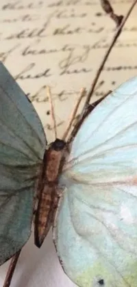 This mobile live wallpaper showcases a striking close-up shot of a butterfly on a weathered piece of paper