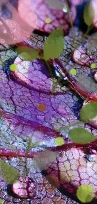 Plant Leaf Liquid Live Wallpaper