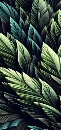 Plant Leaf Natural Environment Live Wallpaper