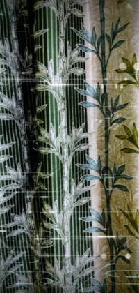 Plant Leaf Natural Environment Live Wallpaper