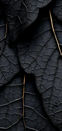 Plant Leaf Natural Material Live Wallpaper