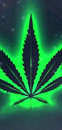 200+] Weed Wallpapers