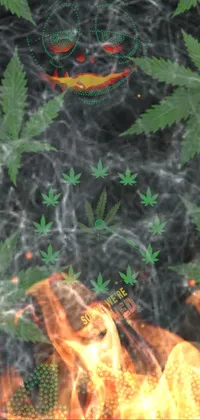 Plant Leaf Organism Live Wallpaper