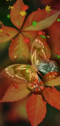 Plant Leaf Petal Live Wallpaper