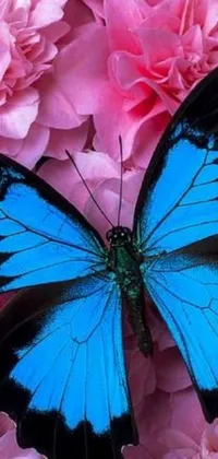 This phone live wallpaper is a stunning portrayal of a blue butterfly resting on a bed of pink flowers
