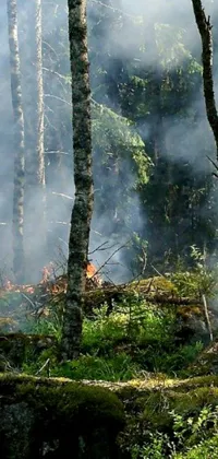 This live wallpaper captures a forest fire in the midst of the woods